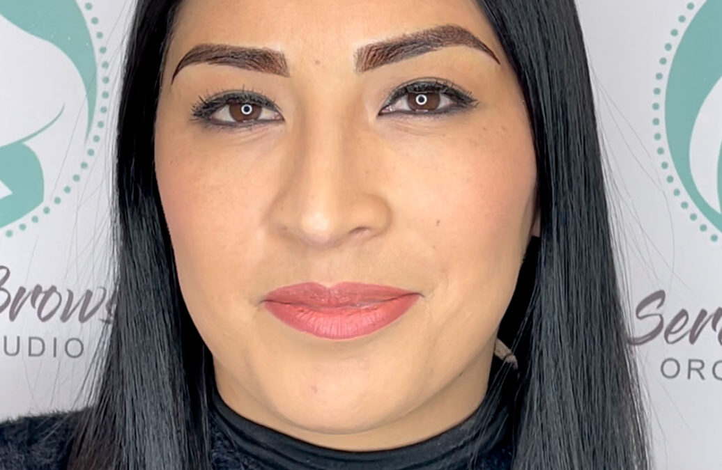 Powder Brows Touch Up